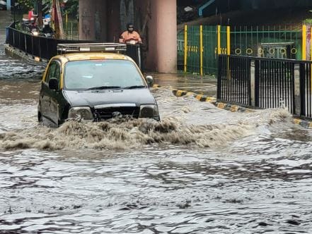 मागील काही दिवसांपासून राज्यात पावसाने जोर धरला आहे. (सर्व फोटो - नरेंद्र वास्कर, इंडियन एक्स्प्रेस)