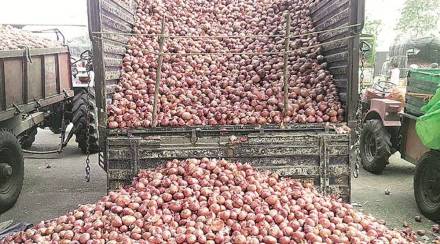 onion price