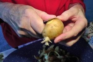 potato peels uses