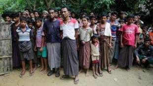 rohingya refugee