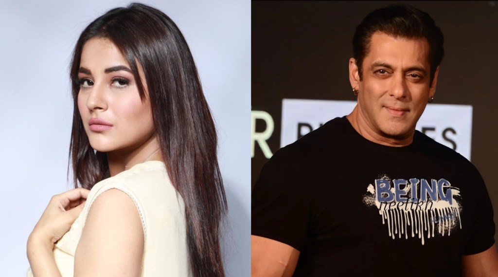 salman khan, shehnaaz gill