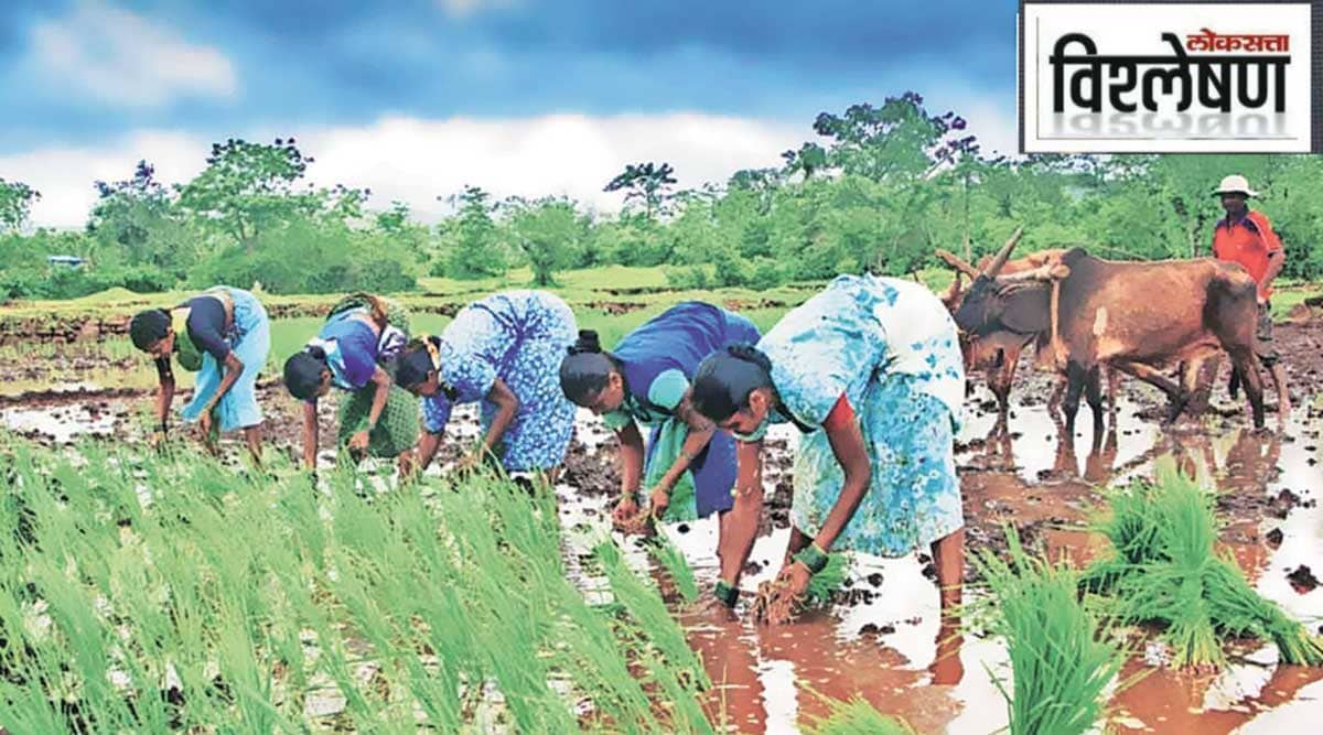 sowing of kharif crops
