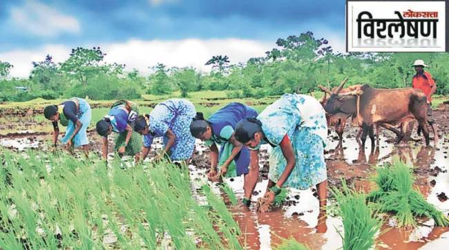 sowing of kharif crops