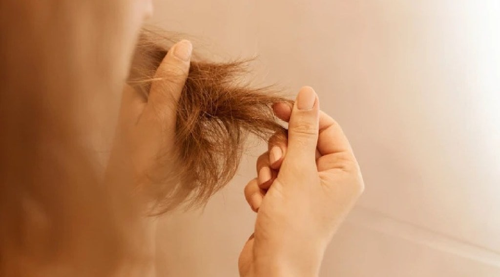 Hair Care Tips : शॅम्पू लावल्यानंतर तुमचे केस आणखीनच गळतात का? ‘या’ टिप्समुळे होईल फायदा