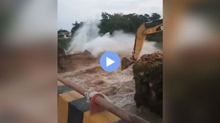 Viral Video bulldozer