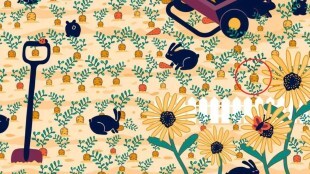 Can you spot the diamond ring hidden in the picture