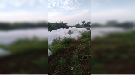 Foam in the river water near the fuel plant