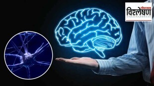 World AlzheimerтАЩs Day 2022 | Alzheimer's Disease