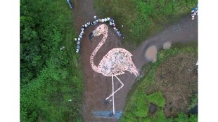 A 60 foot flamingo replica was created from the collected waste