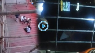 Girl Fall