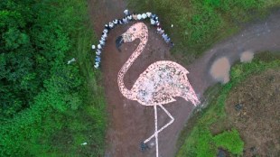 A replica of a flamingo made from garbage in Mumbai kandalwan envoirnment mumbai