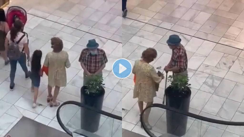 Elderly-Couple-Stole-Plant-Viral-Video