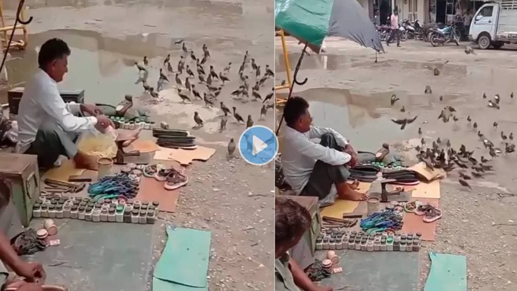 Feeding-Birds-Viral-Video