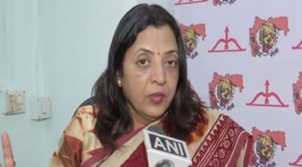 Mumbai High Court decision on Dasara Melava