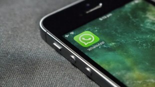 whatsapp,