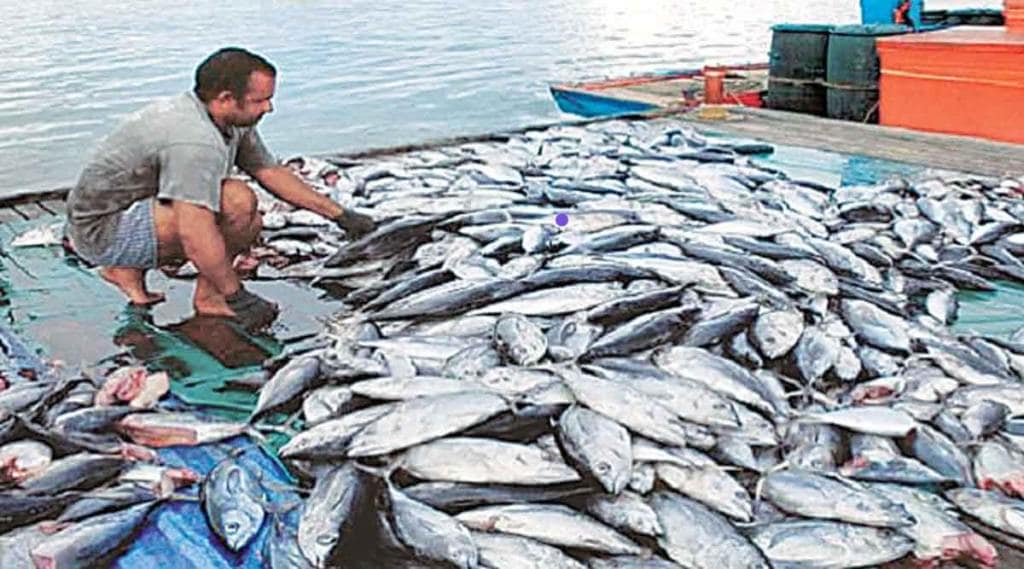 Crore fraud with the lure of investing in fish farming business