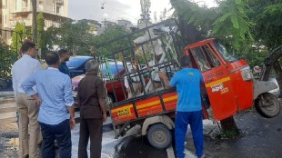 In a freak accident in Vashi, a rickshaw directly climbed a tree navi mumbai