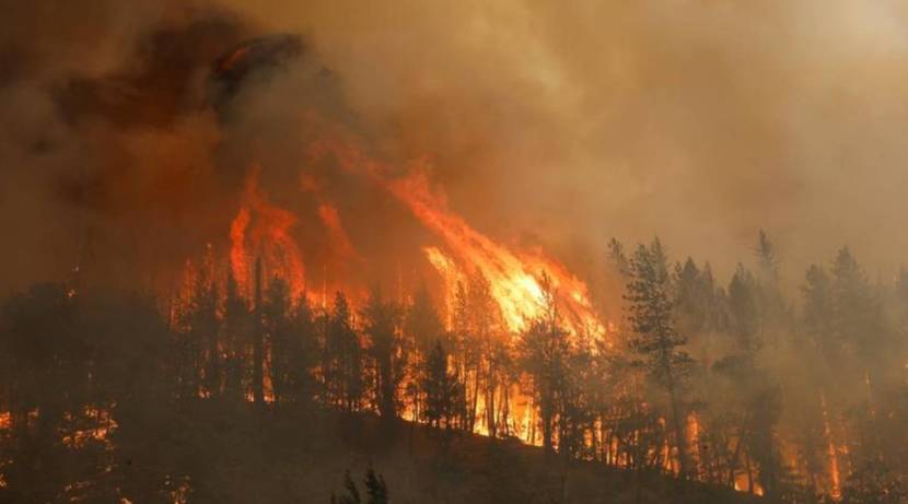ही आग १०.३ चौरस किलोमीटर परिसरात पसरली आहे. कोरडे गवत आणि लाकडांमुळे ही आग वेगाने पसरत आहे.