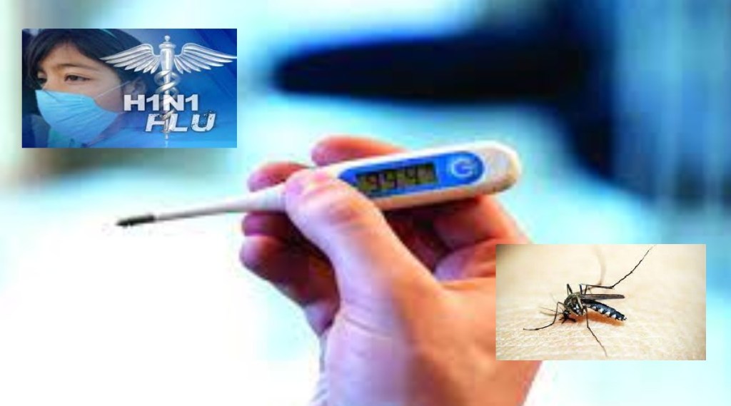 Epidemics continue in Thane swaine flu , malaria