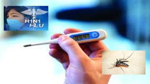 Epidemics continue in Thane swaine flu , malaria