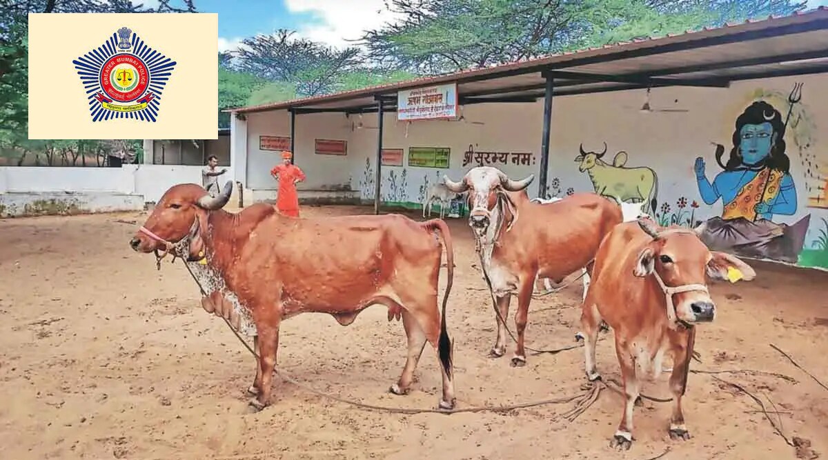 Special orders of Mumbai Police in the wake of lumpy skin disease
