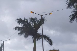 Street lights in CIDCO's Bokadvira area continue even during the day uran navi mumbai