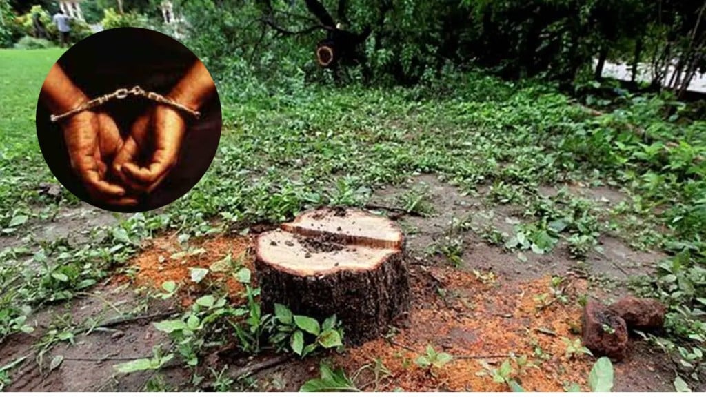 The police arrested the person who slaughtered sandalwood trees from the government residence in Nagpur