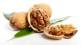 walnut benefits, uric acid and walnut