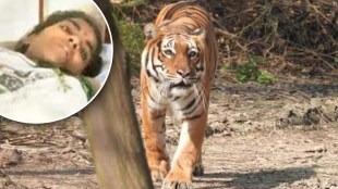 Injured mother fights tiger for 15-month-old baby