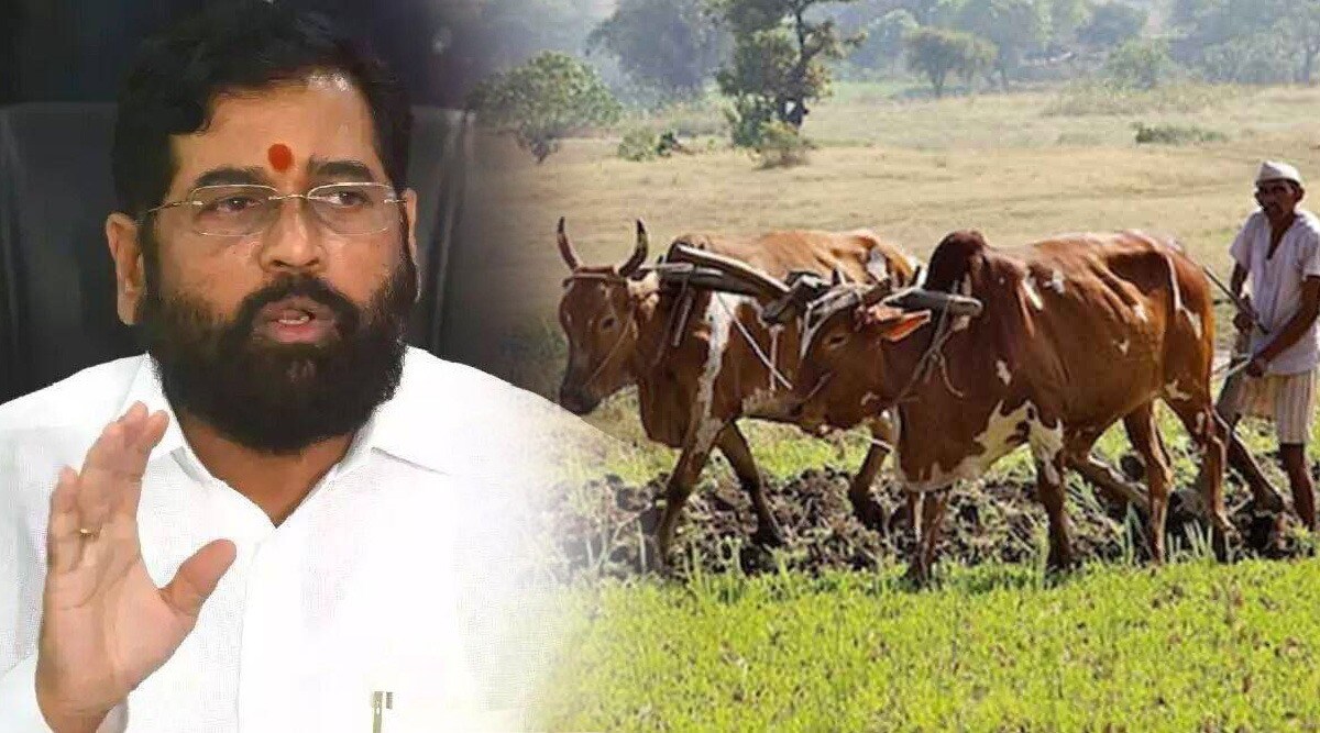 maharashtra farmer
