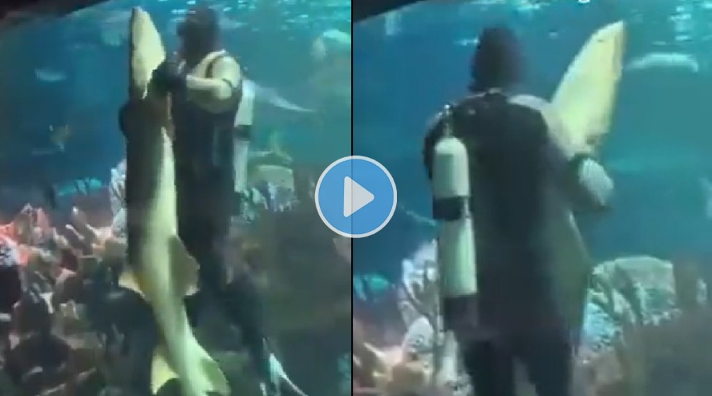 Man performs romantic dance with shark in water