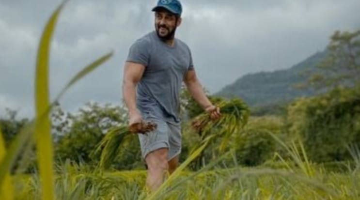 salman khan 5