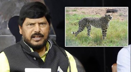 Ramdas Athavale on cheetah
