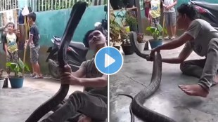 boy dancing with king cobra