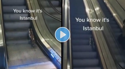 cat running on escalator