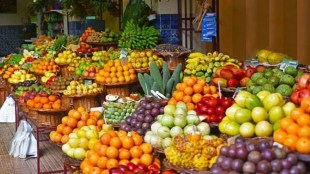 Fruit