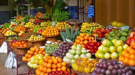 Fruit