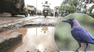 Mumbai Potholes Sarvapitri Amavasya Shradhha By AAP