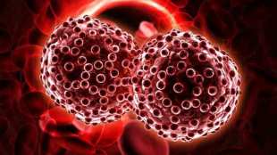 cancer new tecchnology