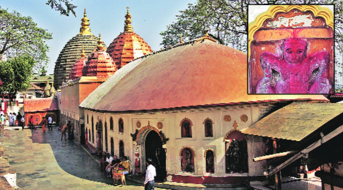 सर्जनशीलतेचा उत्सव