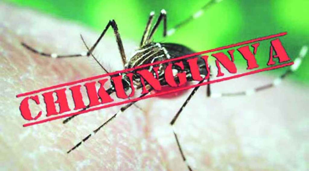 chikungunya