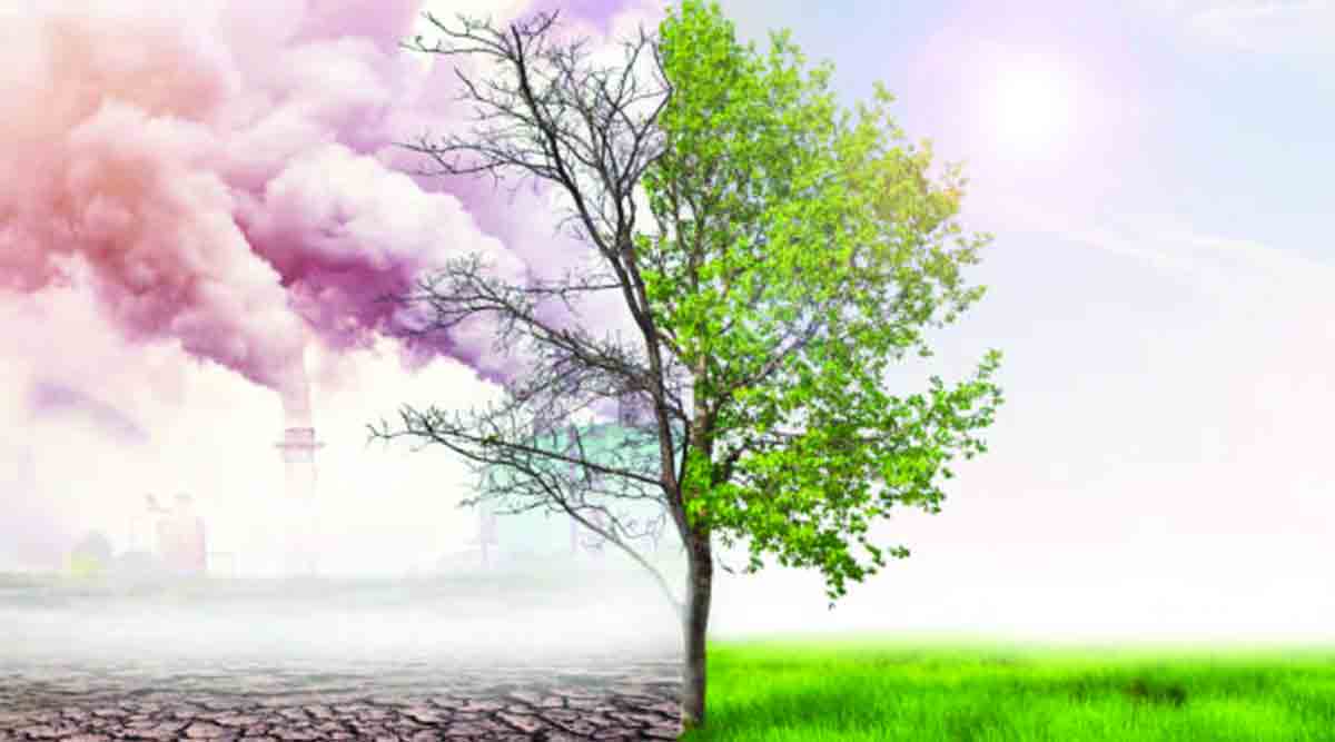 climate