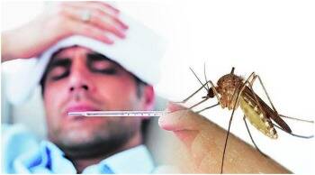 नवी मुंबईत डेंग्यू ,मलेरिया रुग्णांत वाढ