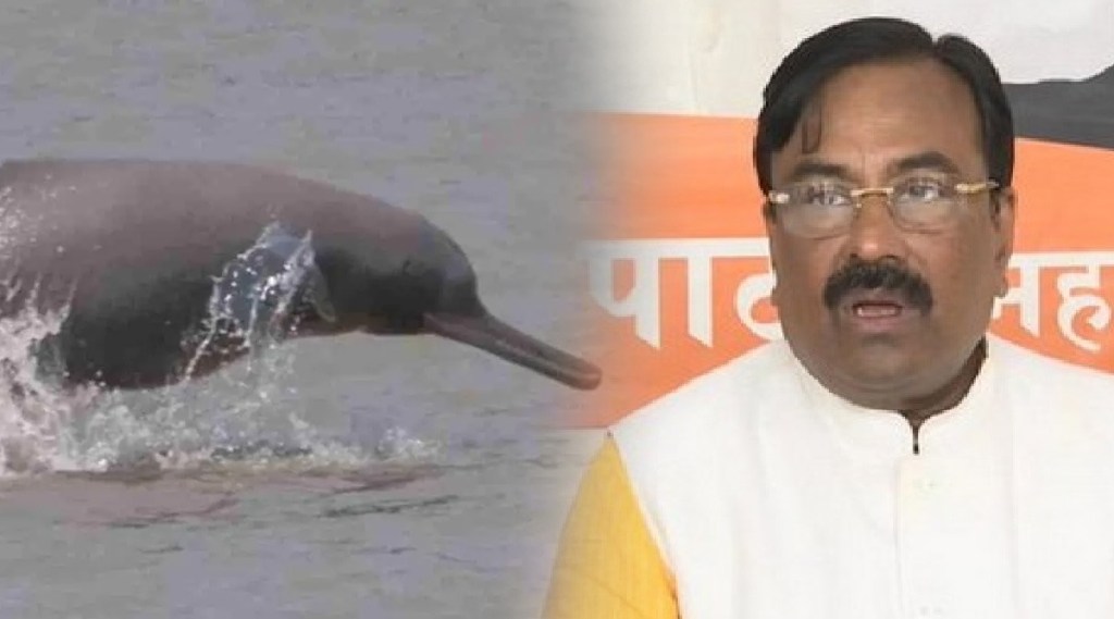 forest minister sudhir mungantiwar said To count dolphins along Mumbai coast area mumbai