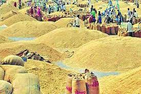 grain