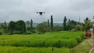 First experiment Konkan Mangaon Insecticide spraying help of drones rice farming alibaug