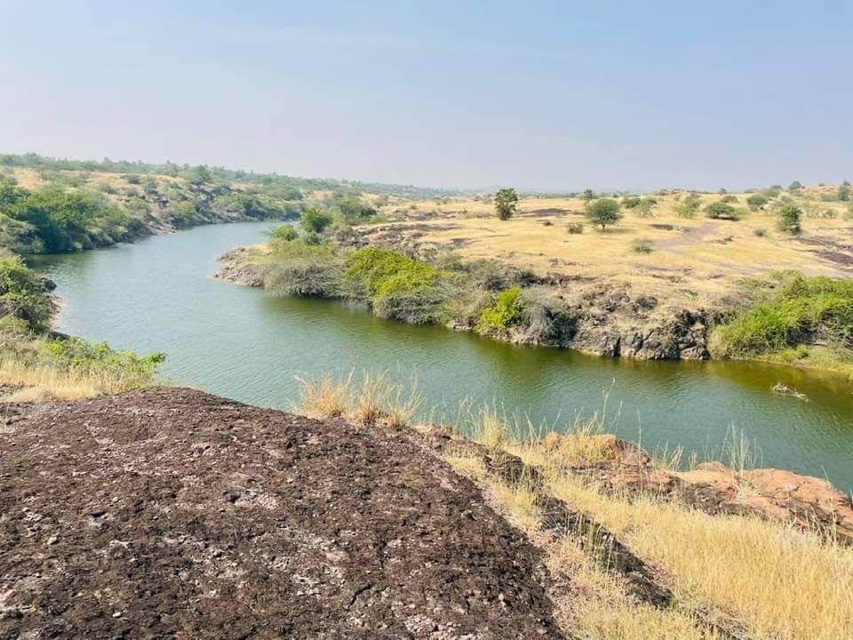 Inclusion Dubai area in Atpadi sangli protected forest area for wolf