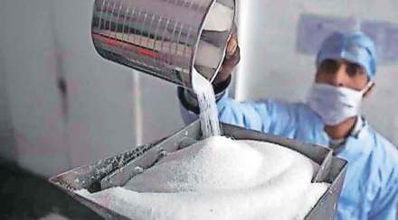sugar production in maharashtra