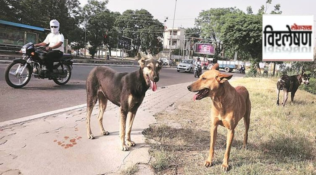 how dangerous is rabies