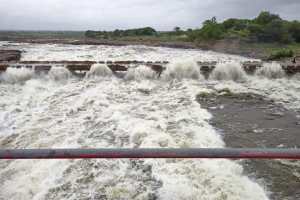record discharge of 104 TMC water during the peak season in jayakwadi dam nashik tmb 01